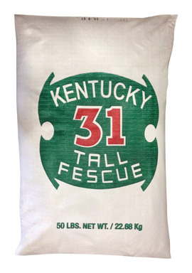 K 31 TALL FESCUE 50#