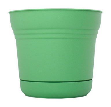 SATURN POT HONEY DEW 10"