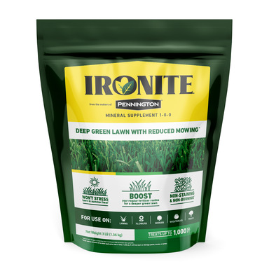 LAWN FERT IRON MINRL 1M