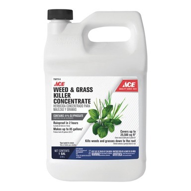 Gordon S Ace Hdwr Ace W G Kill Con 1gal