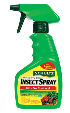 INSECT SPRAY 12OZ SCHLTZ