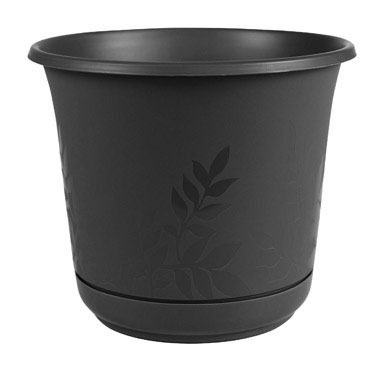 FLOWERPOT FREESIA BLK 8"