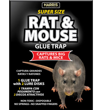 SUPER SIZE RAT GLUE TRAP