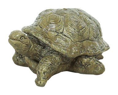 NS STATUE BOX TURTLE 6"