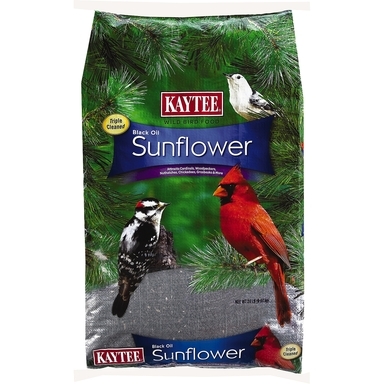 Oil Sunflower Seed 20lb