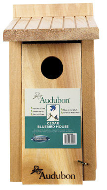 House Blue Bird Cedar