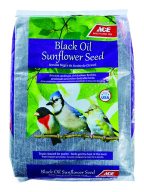 Oil Sunflower Bseed 40lb
