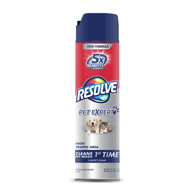 Pet Hi Traffic Foam 22oz