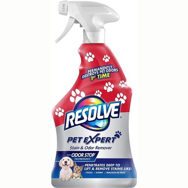 Rug Cleanr Pet 22oz