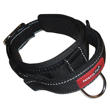 COLLAR & LEASH LRG