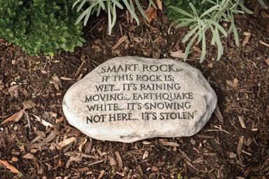 SMART ROCK