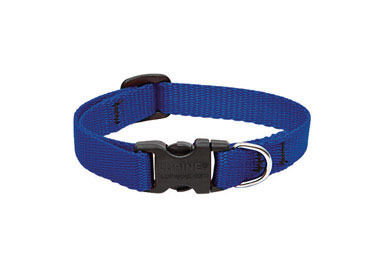 DOG COLLAR 8-12 ADJ BLUE