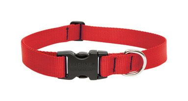 Dog Collar 12-20"adj Red