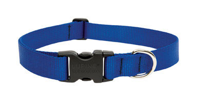 Dog Collar 16-28"adj Blu