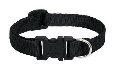 DOG COLLAR 8-12"ADJ BLK