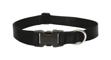 DOG COLLAR 12-20"ADJ BLK