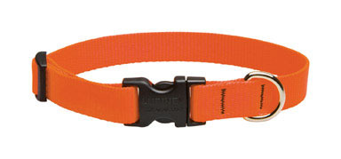 DOG COLLAR 9-14"BLZORNG