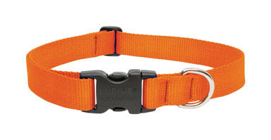 DOG COLLAR12-20"BLZORNG