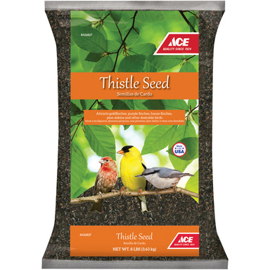 Ace Thistle Seed 8#