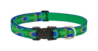 Dog Collar 16-28adj Tlfr