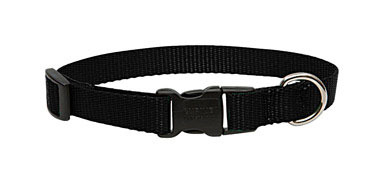 Dog Collar 13-22"adj Blk