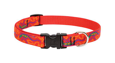 Dog Collar 13-22adj Ggko