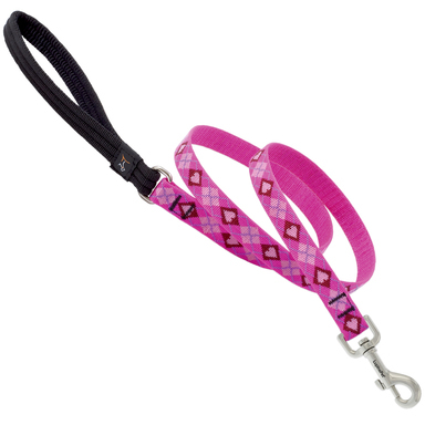 Dog Leash 6' 3/4"puppylv