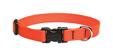 Dog Collar13-22"blzorng