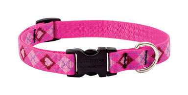 Dog Collar 9-14"adj Pylv