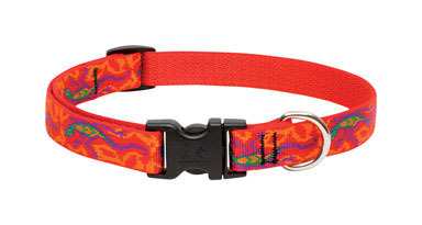 Dog Collar 9-14"adj Ggko