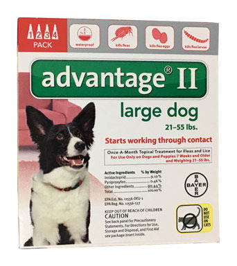 ADVANTAGE II LG DOG