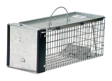 HAVAHRT CAGETRAP16"1DOOR