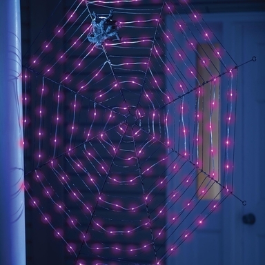 Led Spider Web Purple