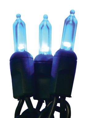 Pltnm Led Mini Blue 50ct