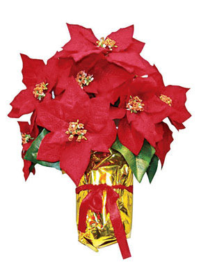 16" RED POINSETTIA