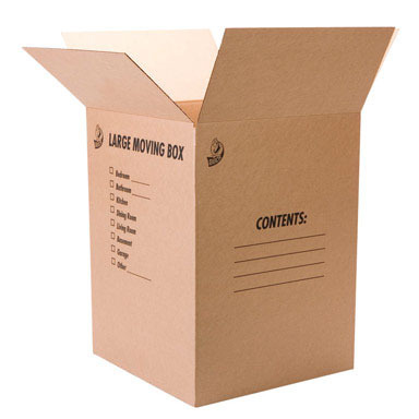 Duck Large Box 18x18x24