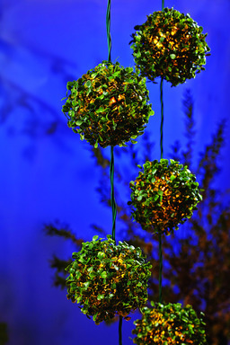 Topiary Ball Led Clr 5ct