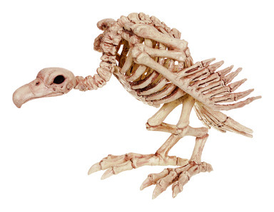 SKELETON VULTURE