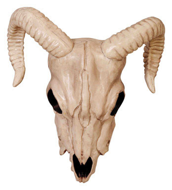 RAM HEAD SKELETON