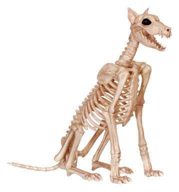 LARGE SKELETON DOG 29"