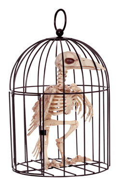 SKELETON CROW IN CAGE