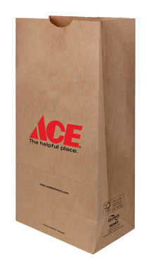 ACE PAPER BAG 10LB 400PK