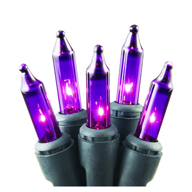 Light Set Purple 100ct