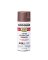 SPRAY PAINT CHSTBRN 12OZ