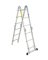 MULTI-MASTER LADDER 12'