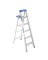 STEP LADDER 6'ALUMTYPE1