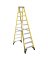 LADDER STEP FG 1AA 10'