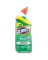 CLOROX TOILET CLEANR24OZ