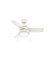 CEILING FAN 1LT WHT 36"