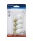 Incnd C7nghtlt Bulb4w4pk